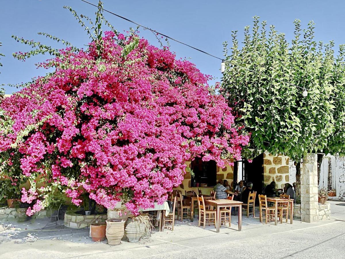 Villa Artemis Vryses Crete Alikampos Eksteriør bilde